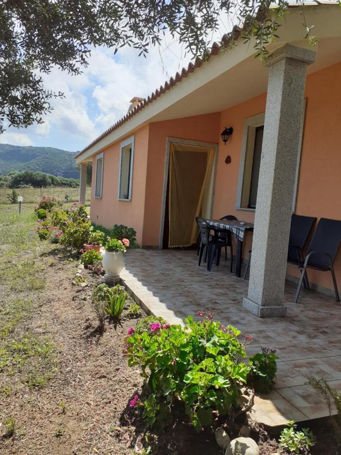 Agriturismo Gli Olivastri -Appartamento Bel Vedere Con Piscina ,Solarium E Vista Mare,Climatizzatore ,Wifi Aglientu Ngoại thất bức ảnh