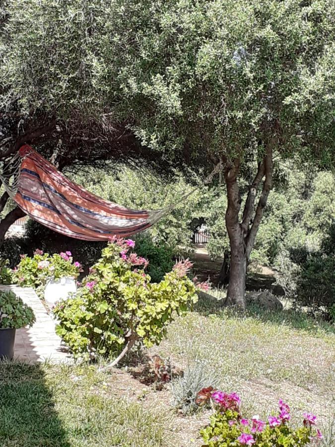Agriturismo Gli Olivastri -Appartamento Bel Vedere Con Piscina ,Solarium E Vista Mare,Climatizzatore ,Wifi Aglientu Ngoại thất bức ảnh