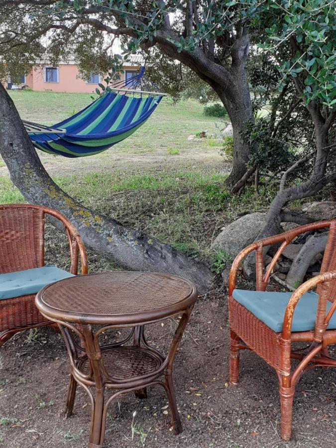 Agriturismo Gli Olivastri -Appartamento Bel Vedere Con Piscina ,Solarium E Vista Mare,Climatizzatore ,Wifi Aglientu Ngoại thất bức ảnh