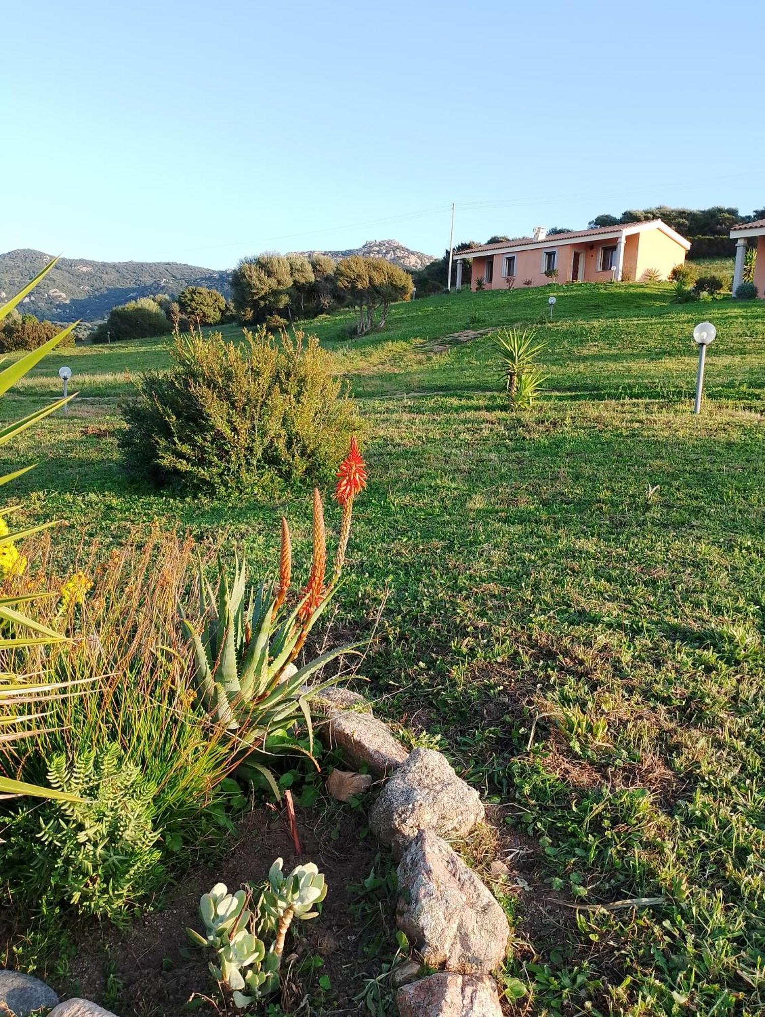 Agriturismo Gli Olivastri -Appartamento Bel Vedere Con Piscina ,Solarium E Vista Mare,Climatizzatore ,Wifi Aglientu Ngoại thất bức ảnh